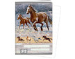 Sešit A5 linkovaný 512 10 listů Wild horses