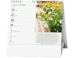 Stolní kalendář IDEÁL Léčivé rostliny
