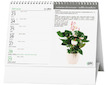 Stolní kalendář žánrový týdenní Pokojové květiny