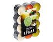 Svíčka čajová Tri Southerm Citrus 24 ks