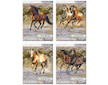 Zápisník trhací Wild Horses 9x12 cm
