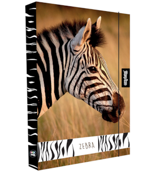 Box na sešity A4 Jumbo Zebra