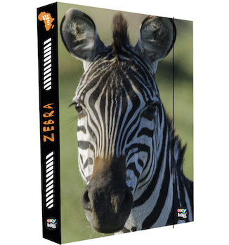 Box na sešity A4 Jumbo Zebra