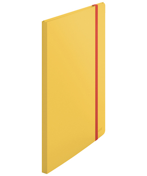 Katalogová kniha Leitz Cosy žlutá