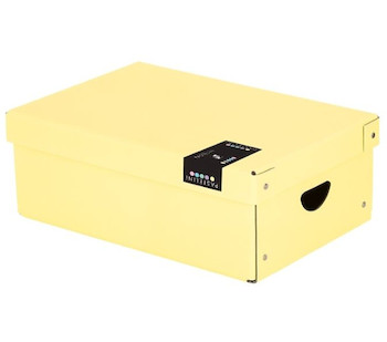 Krabice Pastelini lamino 35x24x9 cm žlutá
