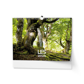 Nástěnný kalendář Les 