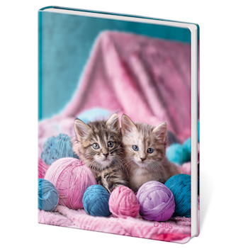 Památník A5 Stil čistý Babes