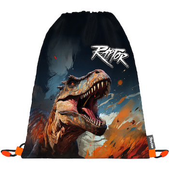 Sáček na cvičky Oxy Dino