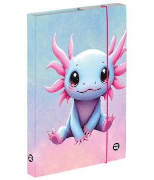 Box na sešity A5 Axolotl
